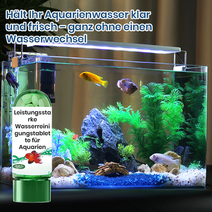 🐠Високоефективни таблетки за пречистване на водата в аквариуми