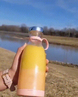 ✨Преносим сокоизтисквачка